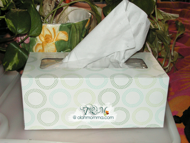 Handmade Bunny Tissue Box